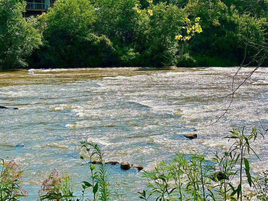 Riverside Relaxer W/Hot Tub+Fire Pit +Wifi & View Franklin Exterior photo